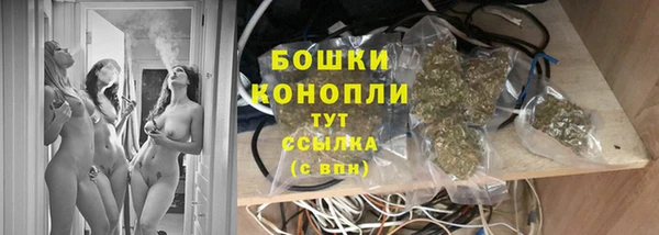 гашик Аркадак
