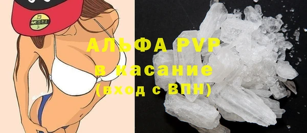 гашик Аркадак
