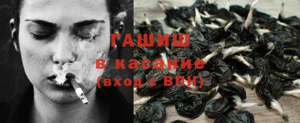 гашик Аркадак